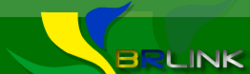 Logo-brlink.png